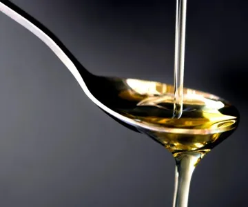 Olive Oil Tasting in Madrid